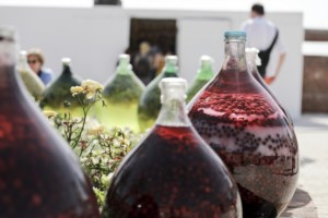 Câmara de Cascais admite assumir a gestão dos comboios da linha com Oeiras e Lisboa Câmara de Cascais admite assumir a gestão dos comboios da linha com Oeiras e Lisboa