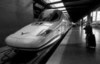 A Raveconsidera que a demora na avaliação até será benéfica para o TGV