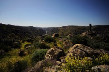 <p>A reserva tem 215 hectares</p>