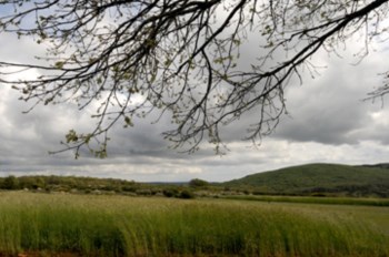 <p>As taxas em vigor têm sido contestadas por autarcas, agricultores e residentes nas áreas protegidas</p>
