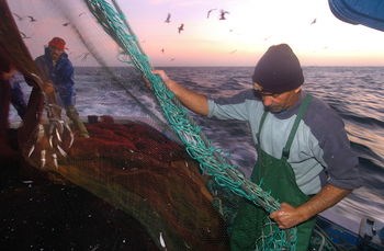 <p>As pescas enpregam mais de 90 mil pessoas</p>