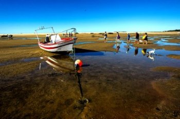 <p>Turistas aproveitam a passagem, que é má notícia para os pescadores</p>