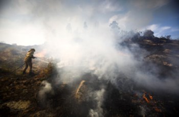 <p>Na Peneda-Gerês arderam 724 hectares em Zonas de Protecção Total</p>