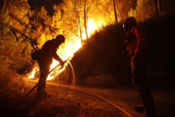 <p>O Parque Nacional da Peneda-Gerês regista a maior área ardida nas zonas protegidas</p>