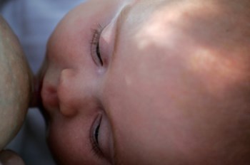 Estudos sobre o leite materno