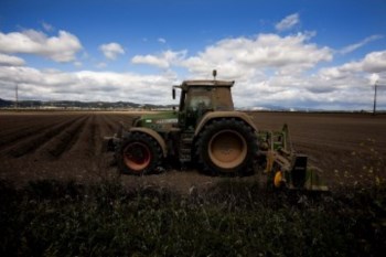 <p>Apenas seis por cento dos agricultores obtêm o seu rendimento exclusivamente da actividade</p>