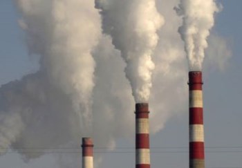 <p>Roubos lançam dúvidas sobre segurança do mercado de carbono</p>