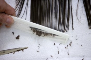 <p>O Governo quer alterar as regras de acesso à profissão de cabeleireiro</p>