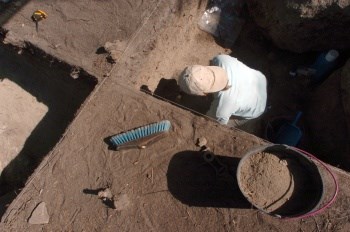 Resultados dos trabalhos vão ser apresentados em Setembro. Resultados dos trabalhos vão ser apresentados em Setembro.