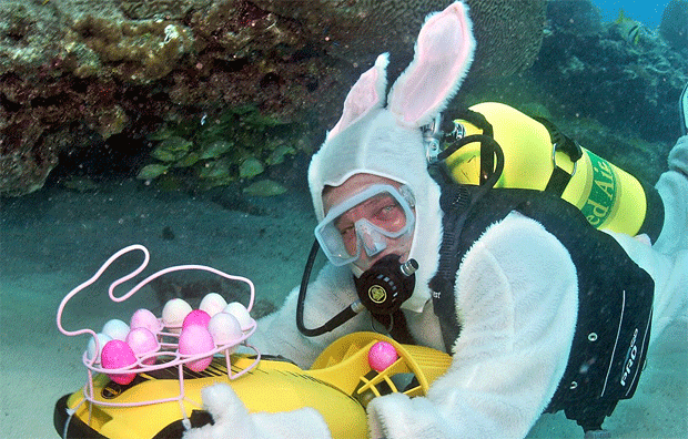 Jason Schwenke mergulha no santuário marinho de Florida Keys nos EUA para esconder ovos de páscoa destinados a uma caça marinha ao ovo