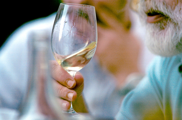 Vinhos bons a preços sensatos