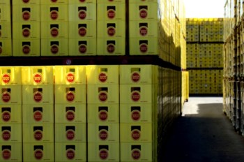 <p>Santarém perde a produção de cerveja</p>