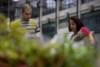 A confiança dos consumidores cai há mais de dois anos
