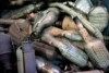 Tubos de escape para reciclar