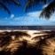 Na Fugas desta semana, Paulo Curado conta-nos tudo sobre a Praia do Forte, no litoral da Baía, Brasil. Um santuário ecológico que nasceu graças à persistência de um empresário e que se tornou o sonho de muitos turistas. Nesta fotogaleria, Daniel Rocha mostra-nos as forças desta área que tem as tartarugas como símbolo e atracção, até porque, aqui, são protegidas com vigor há mais de 30 anos graças ao Projecto Tamar. | 