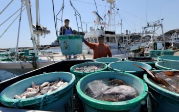 O desastre nuclear de Fukushima provocou fortes quebras de receitas na indústria pesqueira