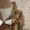 Roma, 29.07.2011 | Trabalhos de restauro de um mural de mosaicos com Apolo e as musas, encontrado no sítio arqueológico das Termas de Adriano, em Roma |  