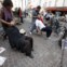 França, Paris, 31.07.2011 | Massagens grátis à disposição no centro de Paris 