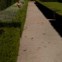 Porto, Parque de Serralves