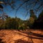 Porto, Parque de Serralves 