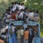 Índia, Khurja, 13.09.2011 | Um autocarro realmente apinhado em mais um dia na vida de Khurja, cidade indiana do estado de Uttar Pradesh.    