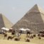 Egipto, Giza, 3.10.2011 | À espera dos turistas nas pirâmides do Planalto de Giza, perto do Cairo. Após uma temporada política de mudança histórica, a indústria turística recupera lentamente. 