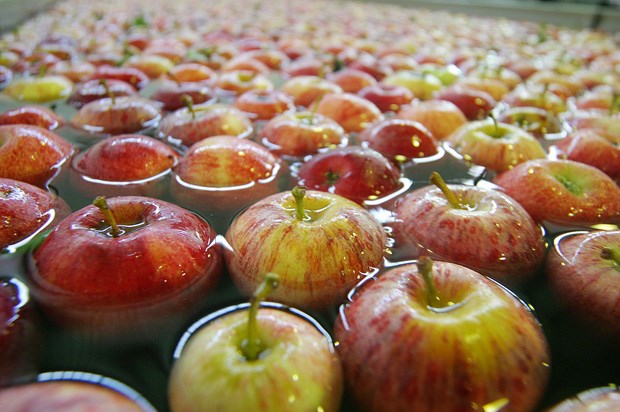 Protecção cardiovascular, Vai uma maçã