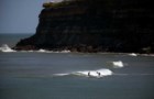 Ericeira celebra a consagração como Reserva Mundial de Surf
