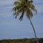 Coco Cay