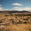 Volubilis.