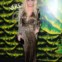 A cantora Kesha