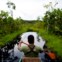 Melitón Yumbo, guia indígena da comunidade kichwa Añangu, na proa da canoa que avança por um canal de floresta inundada. 