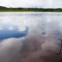 Cais dos sonhos? É o cais da partida das viagens de canoa no Napo Wildlife Center, numa manhã com nuvens e maré cheia.