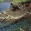Parque Nacional Komodo (Indonésia).