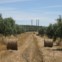 Alentejo, Alter do Chão. 