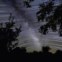 Via Láctea vista no Alentejo, em Vila Boim, Elvas. A imagem foi obtida na região sul do céu. Ao centro, a Via láctea e simultaneamente o rasto das estrelas que a compõem, descrevendo o movimento da esfera celeste ao longo da noite. Vêem-se diversas constelações como: Lyra, Aquila, Scutum, Sagittarius, Scorpius, Aquarius, Capricornus. 