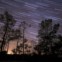 Imagem do rasto das estrelas na região sul do céu, na zona da Via Láctea. Imagem obtida num pinhal da Fonte da Telha, na noite das Perseidas. (uma das 100 melhores do ano segundo a 
