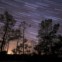 Imagem do rasto das estrelas na região sul do céu, na zona da Via Láctea. Imagem obtida num pinhal da Fonte da Telha, na noite das Perseidas. (uma das 100 melhores do ano segundo a