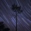 Imagem do movimento das estrelas registado ao longo da noite no dia 14/12/2009 entre as 02h51 e as 4h27. Para o resultado final foi feita uma soma manual de 175 imagens no CS3 cada uma de 30 segundos, totalizando uma integração de 87.5 minutos. Na Fonte da Telha.  
