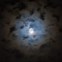 Halo Lunar difuso: Imagem de um halo lunar provocado devido à presença de cristais de gelo na atmosfera, que refractam a luz da Lua. Imagem obtida na noite de “Halloween”. 