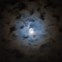 Halo Lunar difuso: Imagem de um halo lunar provocado devido à presença de cristais de gelo na atmosfera, que refractam a luz da Lua. Imagem obtida na noite de “Halloween”.