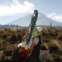 México, 9.12.2011 | A estátua da Virgem da Guadalupe às costas de um peregrino. Milhoes de mexicanos viajam para a Cidade do México para celebrar o dia da Virgem de Guadalupe a 12 de Dezembro. 