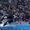 Sea World 