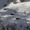 Suíça, 19.12.2011 | Um cliché de postal: chalés fotografados após um nevão (Sionne, Anzere)
