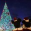Espanha. Mickey e Minie admiram a árvore de Natal feita de luzes na Puerta del Sol, Madrid. 