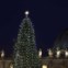 Vaticano. Uma árvore de 30 metros, vinda da Ucrânia, é iluminada oficialmente na praça de São Pedro 