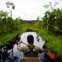 No coração verde da Amazónia - por Enric Vives-Rubio