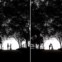 E aqui um exemplo de outros trabalhos fotográficos de Lam: Momentos românticos entre noivos