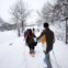 Opção para amantes da neve mais calmos: o relax de passear em raquetas de neve 