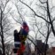 EUA. A decorar uma despida árvore no Inverno de Nova Iorque 